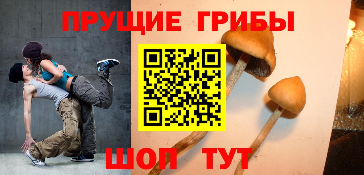 Ишимбай  Псилоцибиновые грибы GOLDEN TEACHER  Вход с VPN 