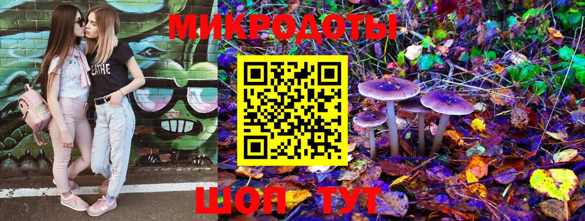 Псилоцибиновые грибы GOLDEN TEACHER Ишимбай
